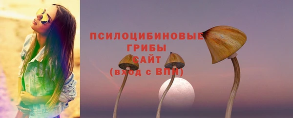 СК Вязники